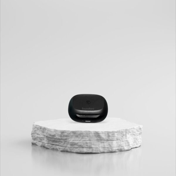 TWS Power Bank Integrated